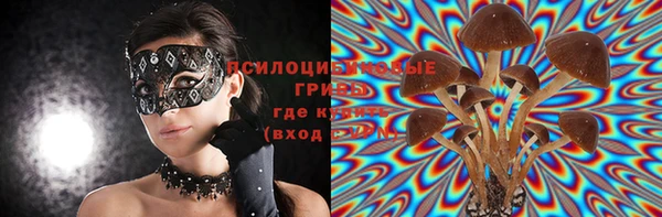 PSILOCYBIN Алзамай