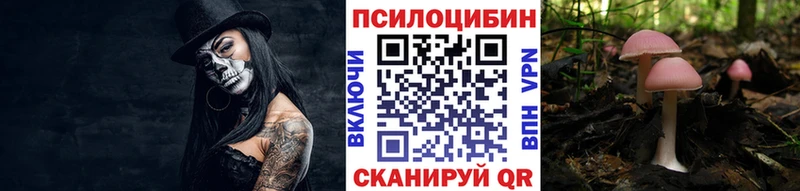 МЕГА зеркало  Калининск  Псилоцибиновые грибы GOLDEN TEACHER  что такое наркотик 