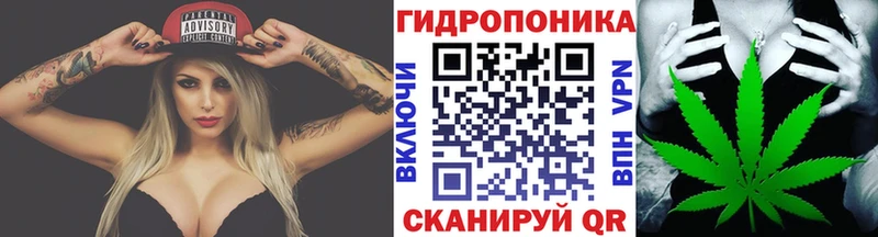 Конопля план Калининск